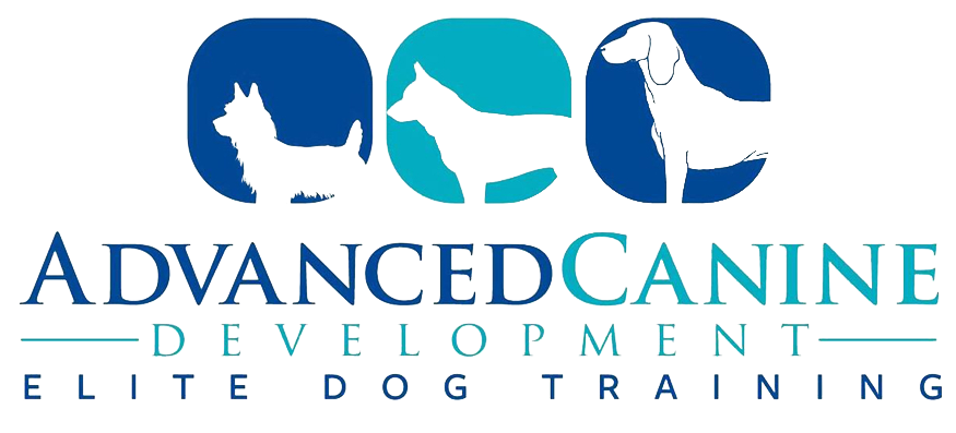 Animal Learning Theory | Advanced Canine Development, Dog Trainers Port ...